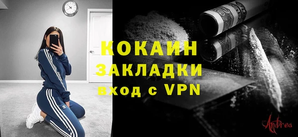 гашик Няндома