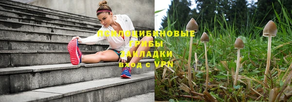 молекула духа Осинники